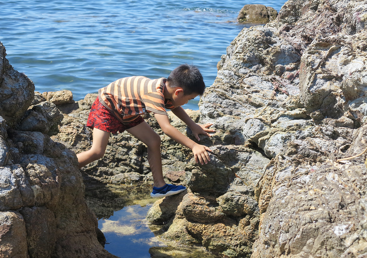 磯遊びの穴場スポット 淡路島 阿那賀公園 南あわじ市 で小一時間遊ぼう