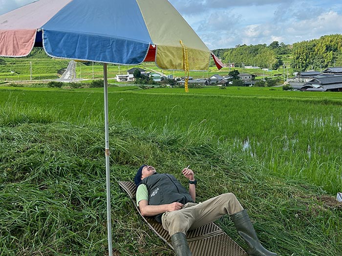 夏場の草刈り